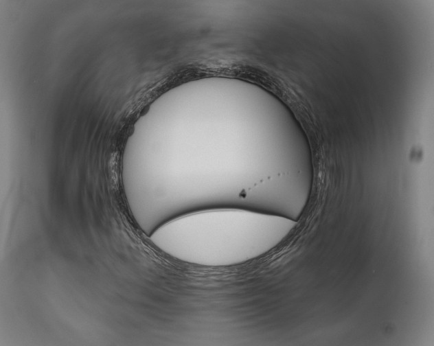 X0000111821156200907231311