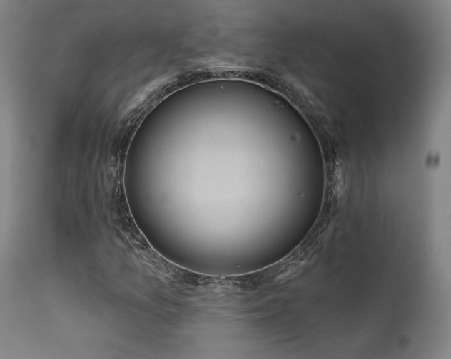 X0000111821157200907231311