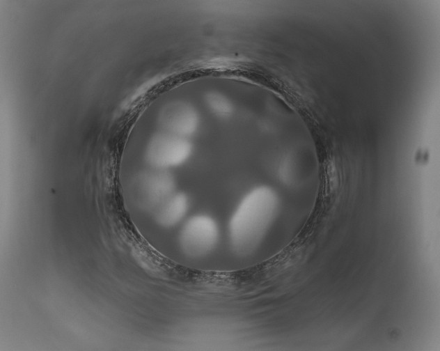 X0000111821158200907231311