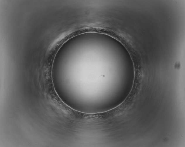 X0000111821159200907231311