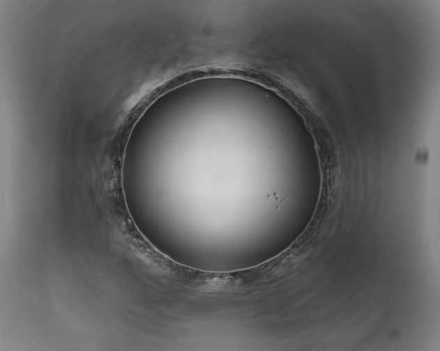 X0000111821160200907231311