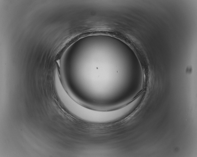 X0000111821161200907231311