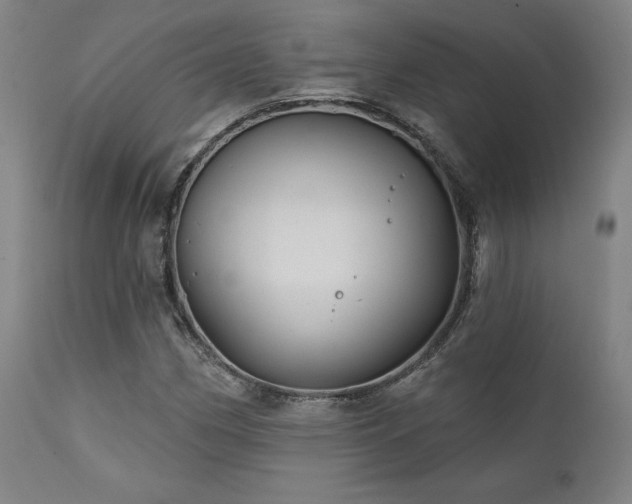 X0000111821162200907231311