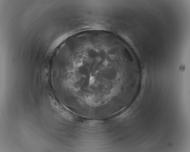 X0000111821163200907231311