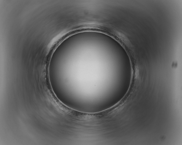 X0000111821164200907231311