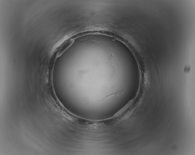 X0000111821165200907231311