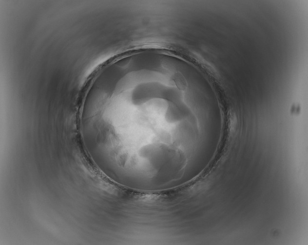 X0000111821166200907231311