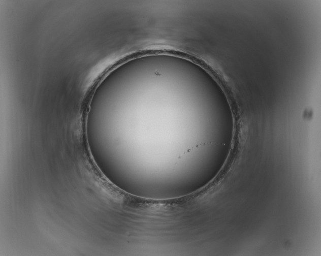 X0000111821167200907231311