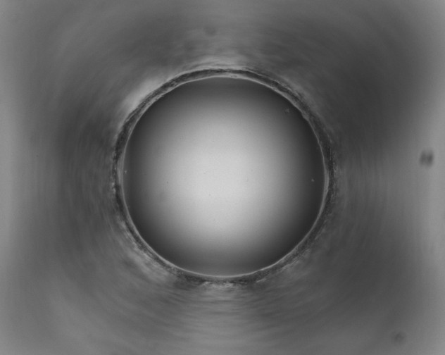 X0000111821168200907231311