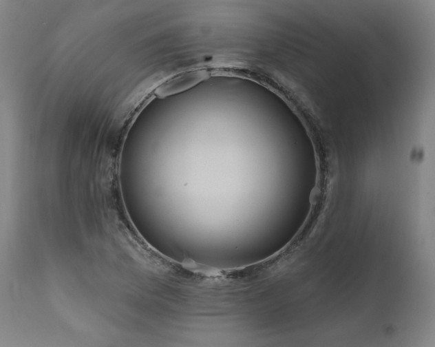 X0000111821169200907231311