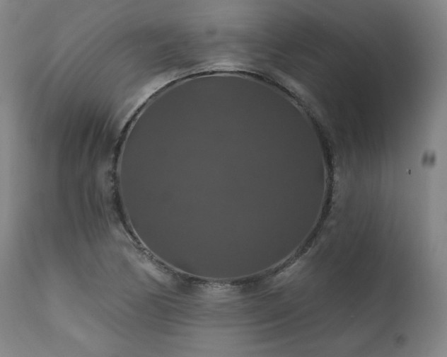 X0000111821170200907231311