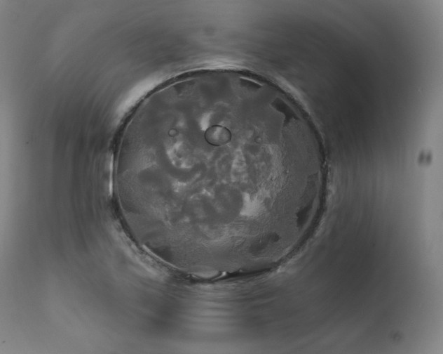 X0000111821171200907231311