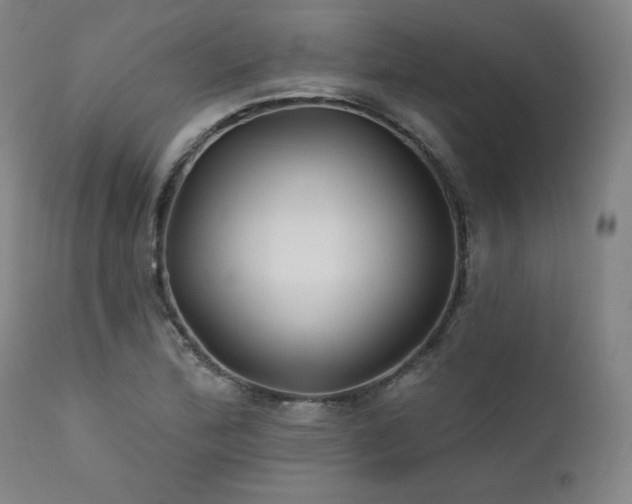 X0000111821172200907231311