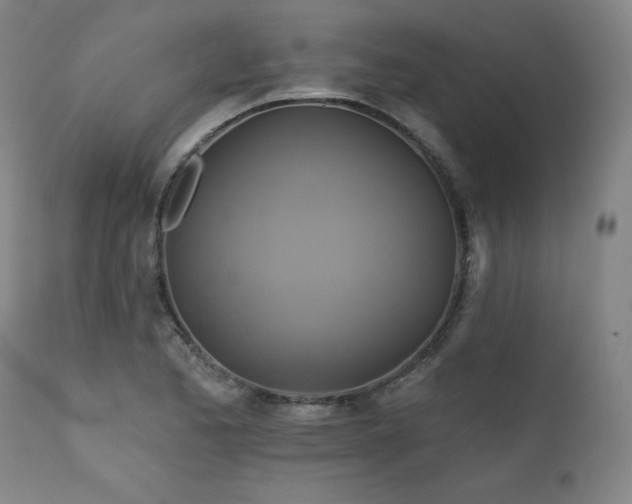 X0000111821173200907231311