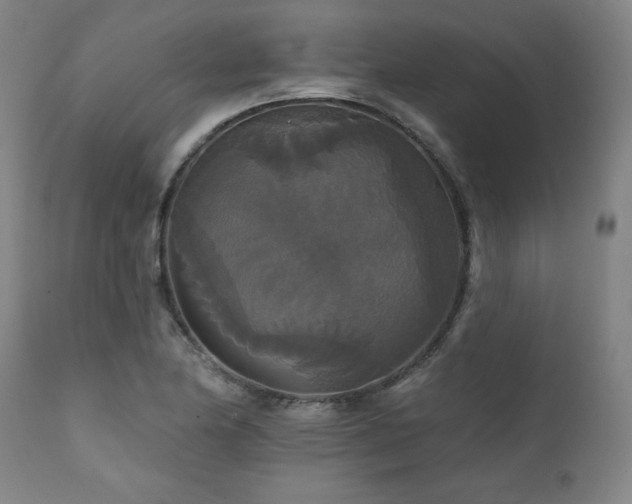 X0000111821174200907231311