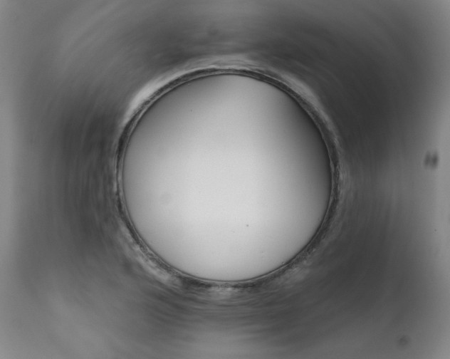 X0000111821176200907231311