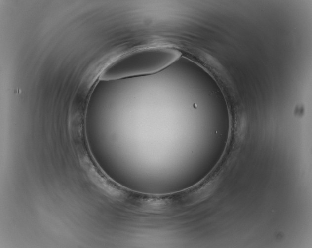 X0000111821177200907231311