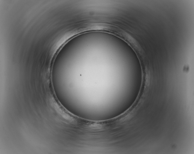 X0000111821178200907231311