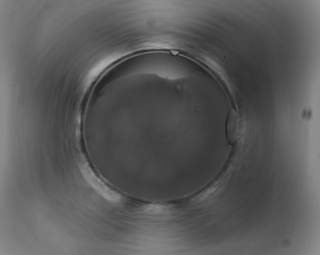 X0000111821179200907231311