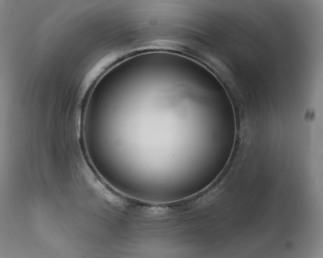 X0000111821180200907231311