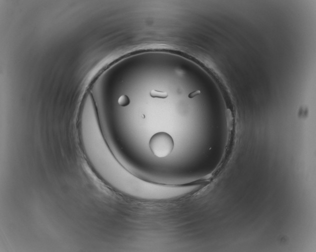 X0000111821181200907231311