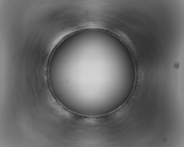 X0000111821182200907231311