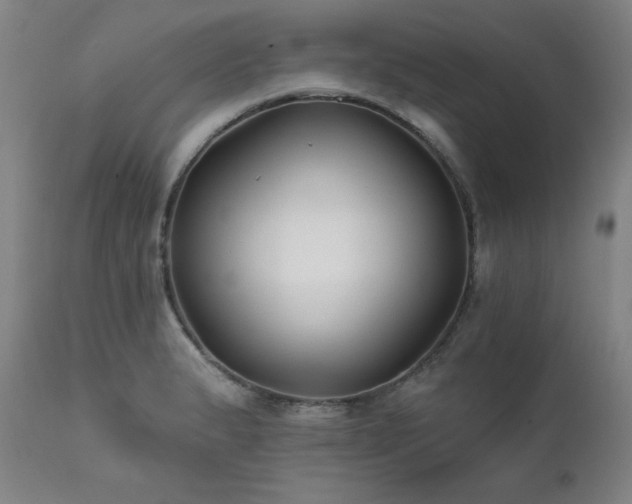 X0000111821183200907231311