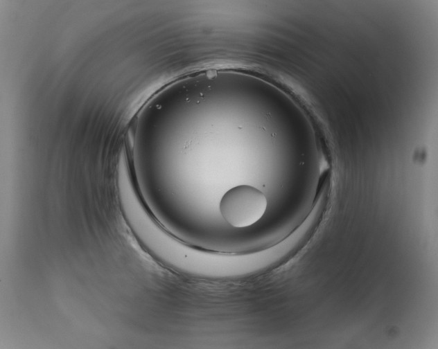 X0000111821185200907231311