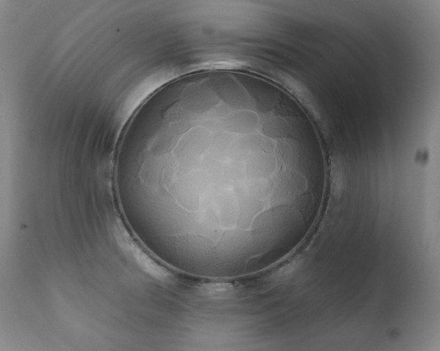 X0000111821186200907231311