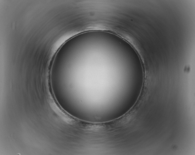 X0000111821187200907231311