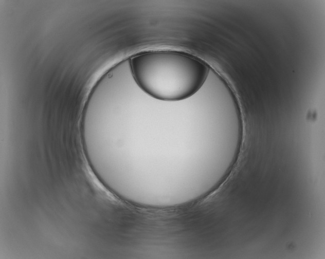 X0000111821189200907231311