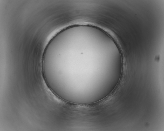 X0000111821191200907231311