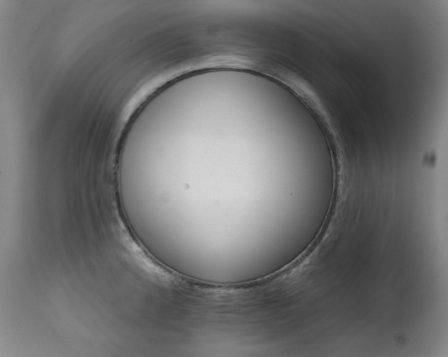 X0000111821192200907231311