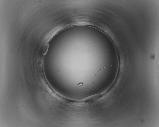 X0000111821193200907231311