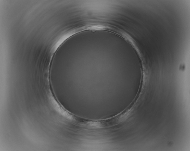 X0000111821194200907231311