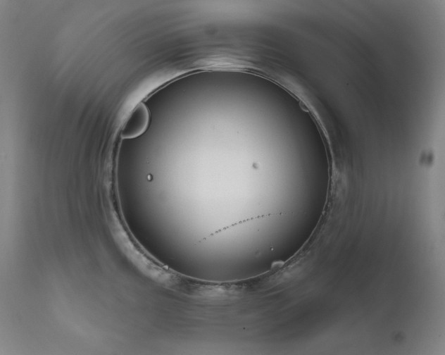 X0000111821195200907231311