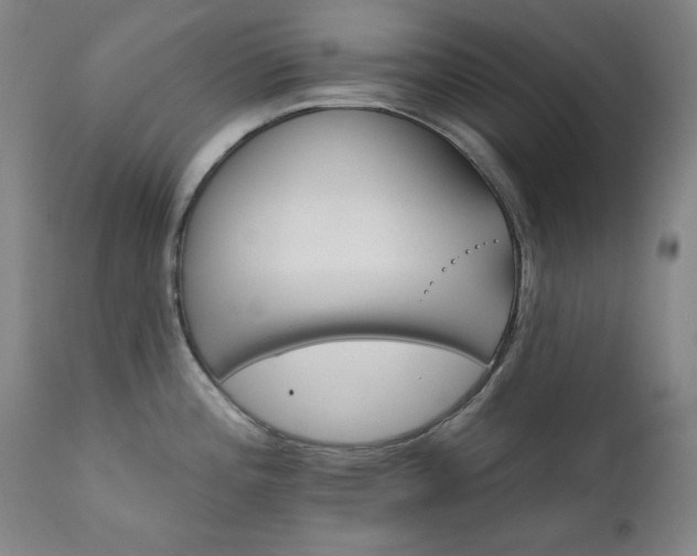 X0000111821196200907231311