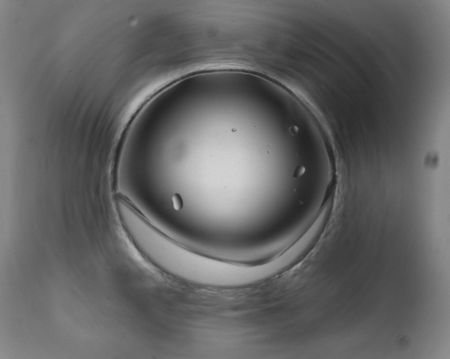 X0000111821197200907231311