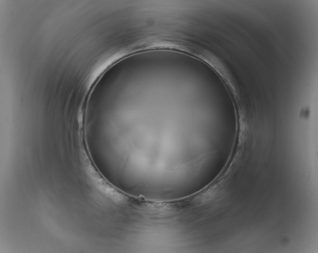 X0000111821198200907231311
