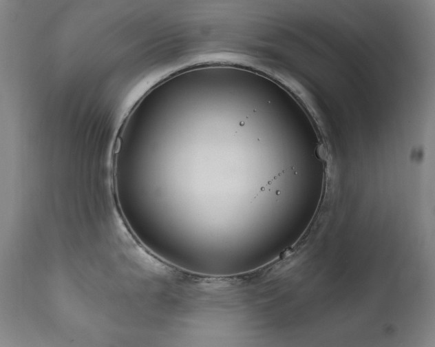 X0000111821199200907231311