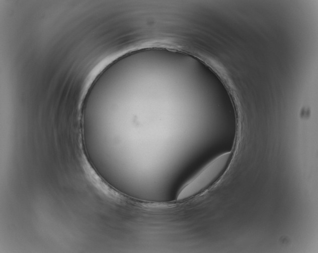X0000111821200200907231310