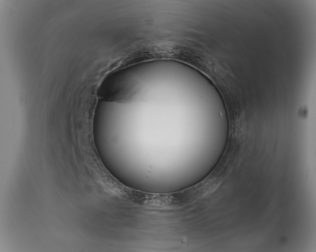 X0000111821201200907231309