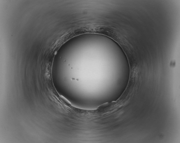 X0000111821202200907231309