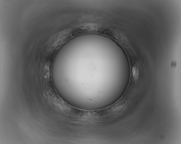 X0000111821203200907231309
