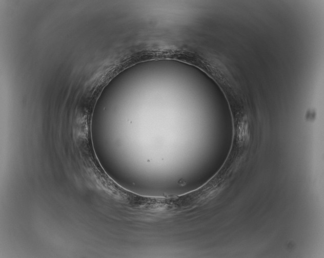 X0000111821204200907231309