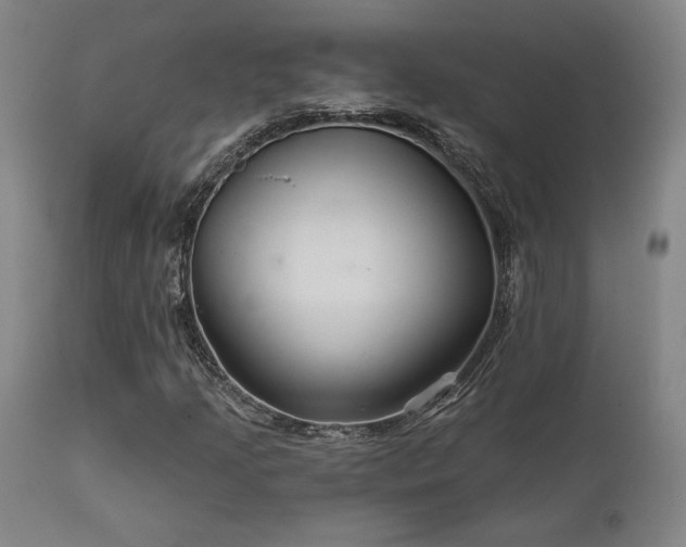 X0000111821205200907231309