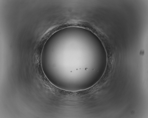 X0000111821206200907231309
