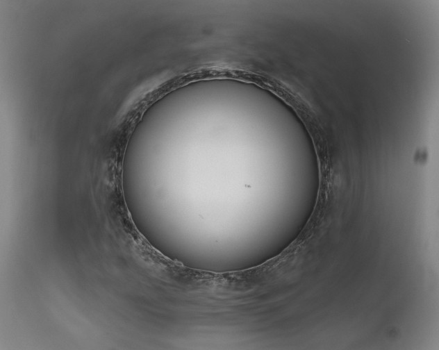 X0000111821207200907231309