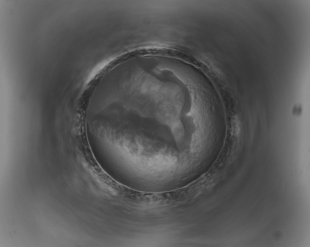 X0000111821208200907231310