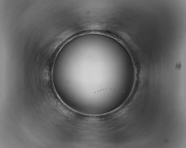 X0000111821209200907231310